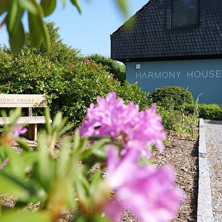 汉德维特 Harmony House酒店 外观 照片
